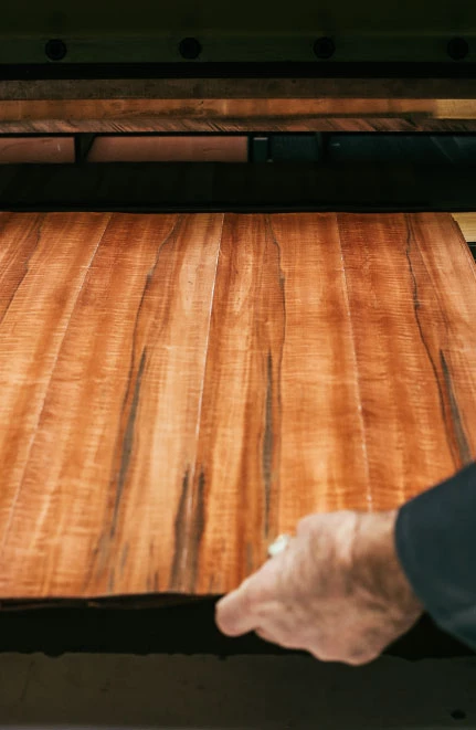 SHELTER-BOIS-MAROTTE LEP